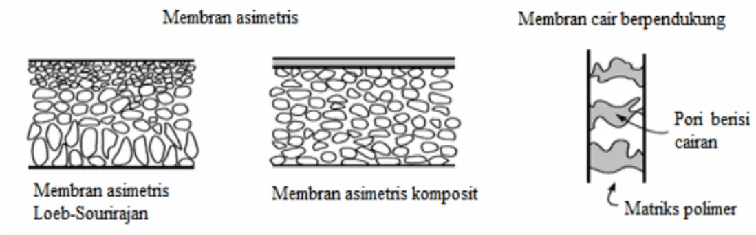 Gambar 2.1.3. Klasifikasi Membran Asimetris  [4]