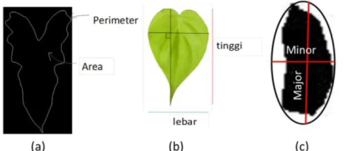 Gambar 1. (a) Ilustrasi Perimeter dan Luas (b) Ilustrasi Lebar dan Tinggi (Kadir &amp; Susanto, 2013)   (c) Ilustrasi Major dan Minor Axis Length 