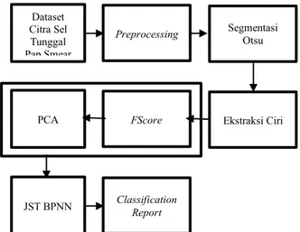 Gambar 2. citra sel tunggal pap smear  2.2.  Dataset 