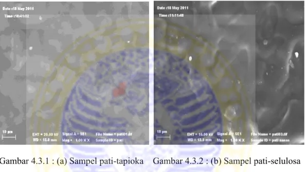 Gambar 4.3 menunjukkan distribusi partikel pada permukaan sampel 
