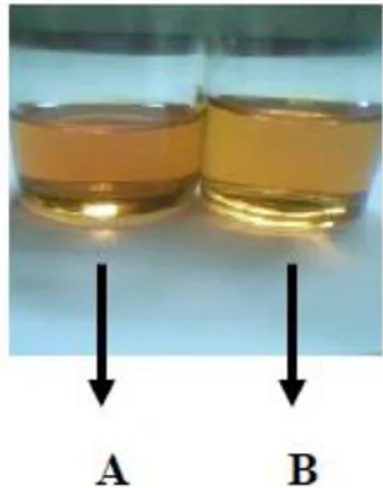 Gambar  3.  Minyak  jelantah  sebelum  (A)  dan  setelah  (B)  direkoveri 