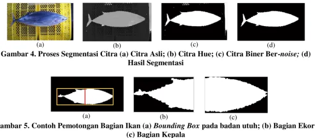 Gambar 5. Contoh Pemotongan Bagian Ikan (a) Bounding Box pada badan utuh; (b) Bagian Ekor;  (c) Bagian Kepala 
