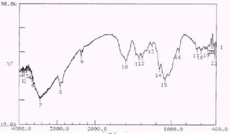 Gambar 2. Spektra inframerah dari (a) khitin dan (b) khitosan dari limbah udang.