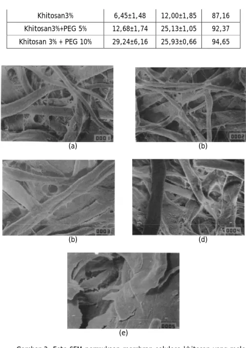 Gambar 3. Foto SEM permukaan membran selulosa-khitosan yang melapisi permukaan kertas saring (a)