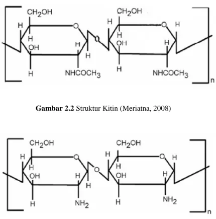 Gambar 2.2 Struktur Kitin (Meriatna, 2008) 