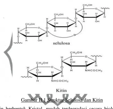 Gambar II.1 Struktur Selulosa dan Kitin 