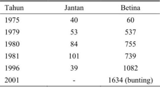 Tabel 13.  Data pemasukan sapi Brahman (Brahman  cross) ke Sumba Timur 