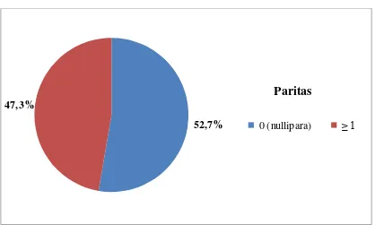 Gambar 5.4 Diagram Pie Distribusi Proporsi Ibu yang Melahirkan Bayi dengan BBLR Berdasarkan Paritas di RSU Sundari Medan Tahun 2012 