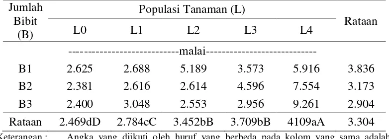 Tabel 3. Pengaruh Jumlah Bibit dan Populasi Tanaman terhadap Jumlah Malai per Sampel (malai)  