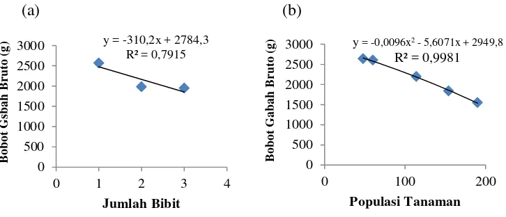 Gambar 4.   Grafik Hubungan Bobot Gabah Bruto per Plot dengan Jumlah Bibit (a) dan Populasi Tanaman (b) 