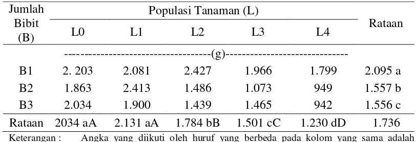 Tabel 5.  Pengaruh Jumlah Bibit dan Populasi Tanaman terhadap Bobot Gabah  Netto per Plot (g) 