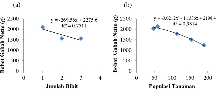 Gambar 5.   Grafik Hubungan Bobot Gabah Netto per Plot dengan Jumlah Bibit (a) dan Populasi Tanaman (b) 