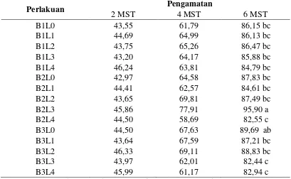 Tabel 1.  Pengaruh Interaksi Jumlah Bibit dan Populasi Tanaman Terhadap Tinggi Tanaman (cm)  pada Umur Pengamatan 2 MST, 4 MST, 6 MST 