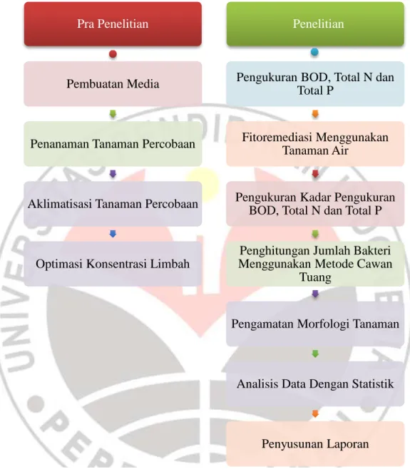 Gambar 3.6 Bagan Alur Penelitian 