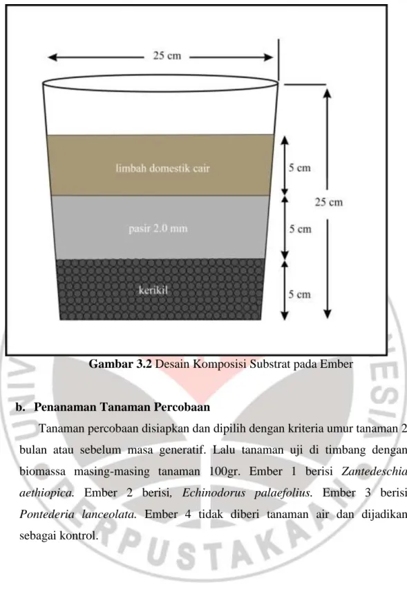 Gambar 3.2 Desain Komposisi Substrat pada Ember 