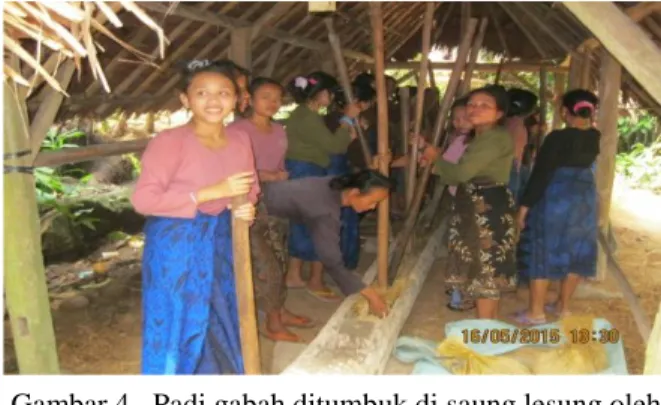 Gambar 4.  Padi gabah ditumbuk di saung lesung oleh  para  penumbuk  padi  di  kampung  Kadukketug, Baduy Luar 