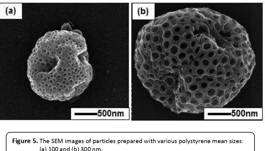 Figure 5. The SEM images of particles prepared with various polystyrene mean sizes: 