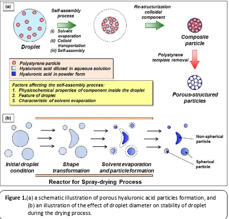 Figure 1.(a) a schematic illustration of porous hyaluronic acid particles formation, and 