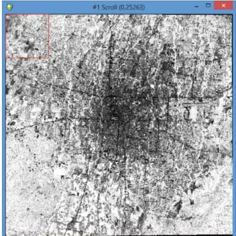 Gambar 1.Citra Hasil Transformasi NDVI