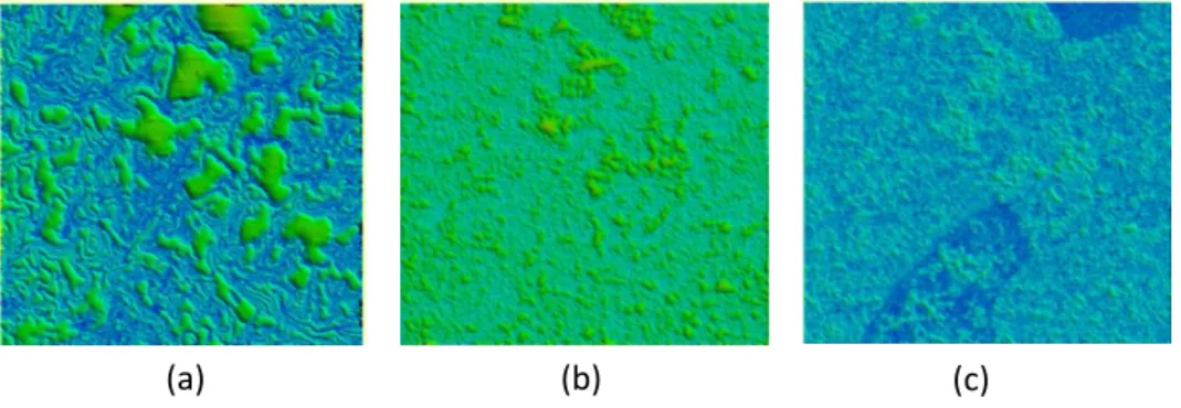 Gambar IV.2. Height Error Map (HEM) hasil interpolasi menggunakan perangkat  lunak Surfer (a) LiDAR (b) SRTM (c) ASTER 