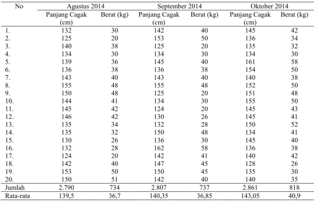 Tabel  1. Komposisi  ukuran panjang dan  berat  ikan  madidihang yang tertangkap pada bulan Agustus, September  dan Oktober 2014 