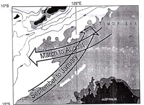 Gambar 6. Sebaran arus permukaan di daerah paparan Laut Timor pada Musim                      Timur dan Peralihan I (Maret-Agustus) serta Musim Barat dan                       Peralihan II (September-Februari) 