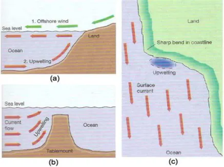 Gambar 1. Mekanisme terjadinya upwelling : (a) offshore wind (b) suatu 