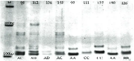 Tabel. 5. Frekuensi genotipe mikrosatelit lokus ILSTS54 pada domba lokal  
