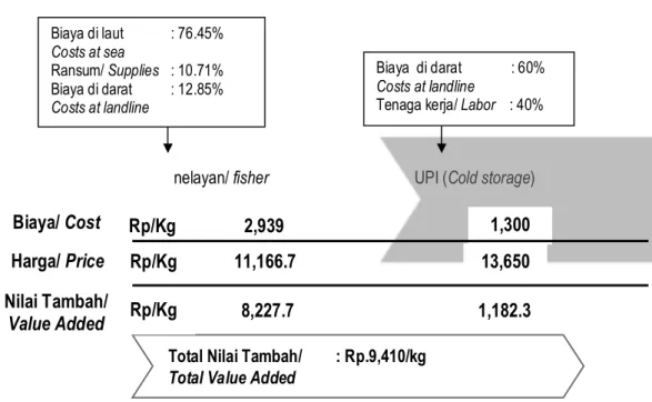 Gambar 5 menunjukkan Value Chain  Analysis  (VA) komoditas ikan cakalang pada  simpul rantai yang ketiga yaitu dari nelayan ke UPI  (Cold Storage)