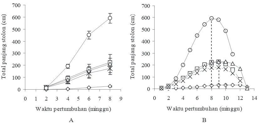 Gambar 1.  Panjang stolon (A) dan pola pertambahan stolon (B) rumput B. humidicola selamapengamatan akibat perlakuan: � = tanpa perlakuan/kontrol (PO), ฀ = mulsa C