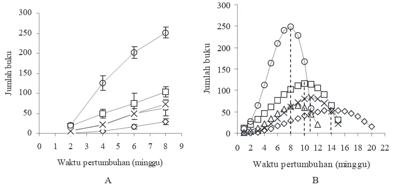 Gambar 2. Jumlah buku (A) dan pola pertambahan jumlah buku (B) rumput B. humidicola selama pengamatan akibat perlakuan: � = tanpa perlakuan/kontrol (PO), ฀ = mulsa C