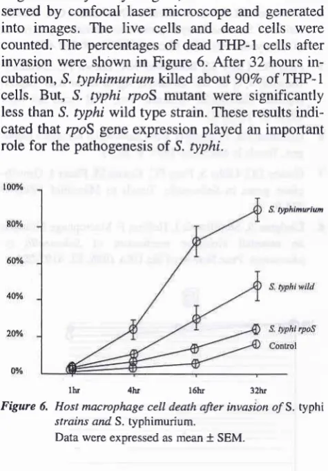 Figure 6. Host macrophage cell death after invasion o/S. typhi