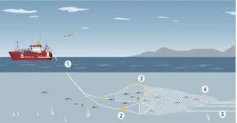 Gambar  2.38. Surface trawl  