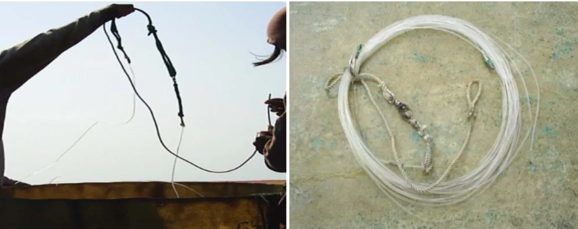 Gambar 1. Tali utama dan tali cabang pada sistem non arranger Figure 1. Main line and branch line on non arranger system