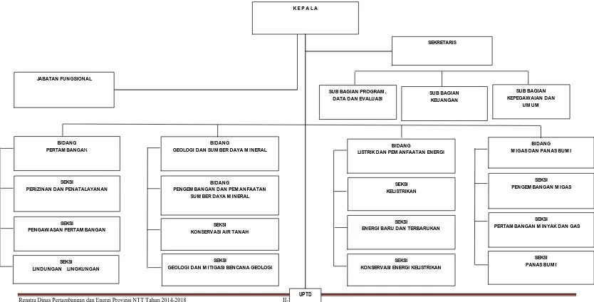 Gambar 2.1 Struktur Organisasi Dinas Pertambangan dan Energi Provinsi NTT 