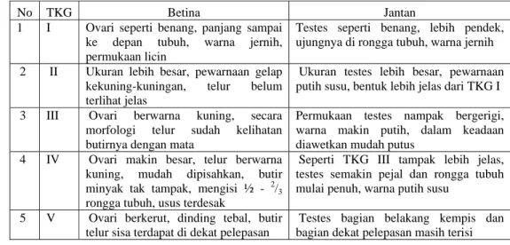 Tabel 2. Tahapan TKG ikan tembang (S.maderensis) diperairan Teluk Jakarta  (Adisti 2010) 