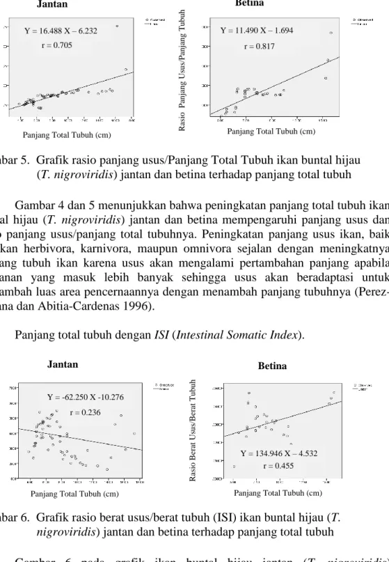 Gambar 5.  Grafik rasio panjang usus/Panjang Total Tubuh ikan buntal hijau          (T