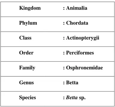 Gambar 2. Tabel Taksonomi Ikan Cupang 