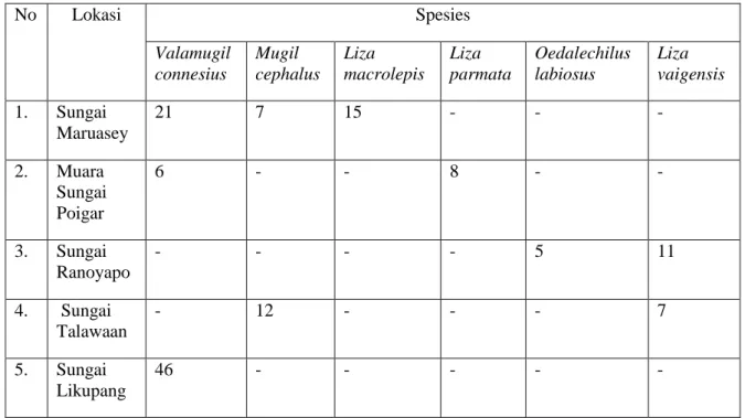 Tabel 1. Spesies  ikan Famili Mugilidae yang ditemukan pada lima muara sungai   No  Lokasi  Spesies  Valamugil  connesius  Mugil  cephalus  Liza  macrolepis  Liza  parmata  Oedalechilus labiosus  Liza  vaigensis  1