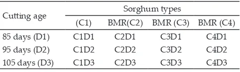 Table 1. Combination treatment between strains and age of cut-ting of sorghum