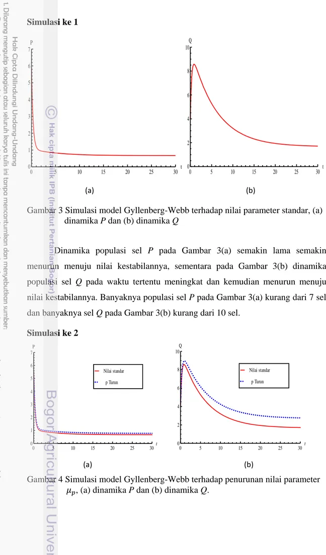 Gambar 3 Simulasi model Gyllenberg-Webb terhadap nilai parameter standar, (a)  dinamika P dan (b) dinamika Q 