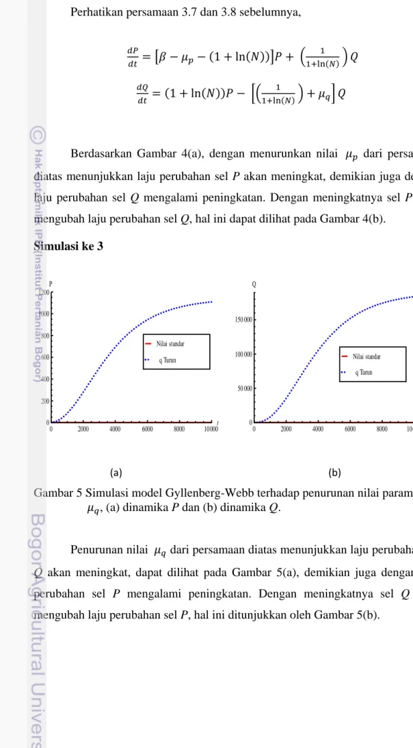 Gambar 5 Simulasi model Gyllenberg-Webb terhadap penurunan nilai parameter    , (a) dinamika P dan (b) dinamika Q