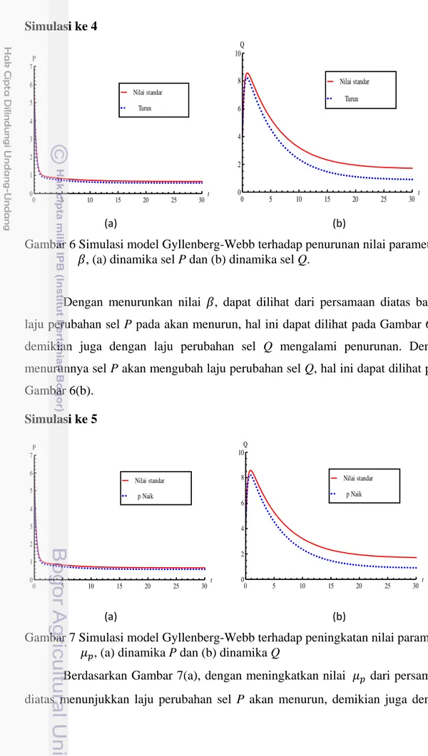 Gambar 6 Simulasi model Gyllenberg-Webb terhadap penurunan nilai parameter  , (a) dinamika sel P dan (b) dinamika sel Q