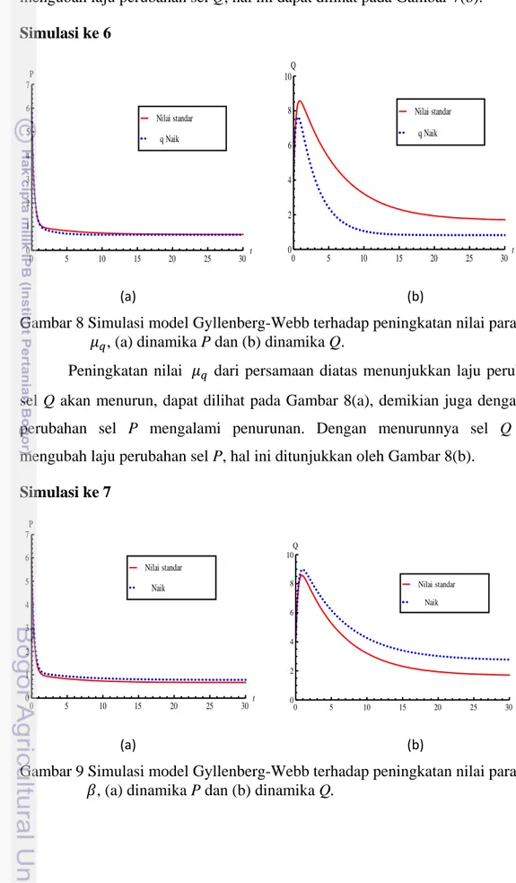 Gambar 8 Simulasi model Gyllenberg-Webb terhadap peningkatan nilai parameter    , (a) dinamika P dan (b) dinamika Q