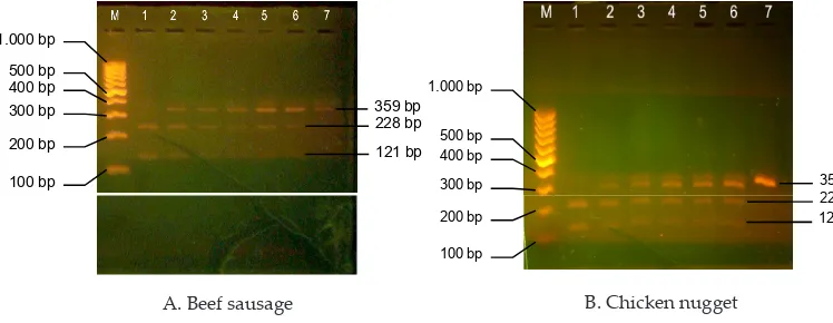 Figure 1. BseDI restriction profile of cytochrome b PCR product amplified from samples
