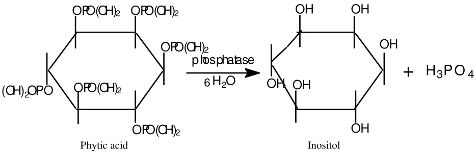Figure 1. The reaction of phytic acid with phosphatase 