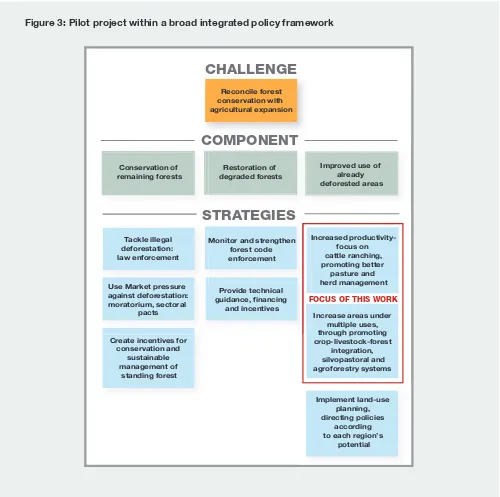 Figure 3: Pilot project within a broad integrated policy framework