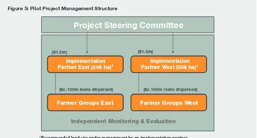 Figure 5: Pilot Project Management Structure
