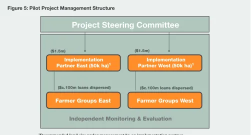 Figure 5: Pilot Project Management Structure