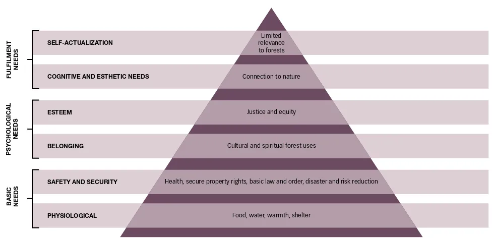Figure 1: Hierarchy of needs that may be satisied by the consumption of forest goods and services